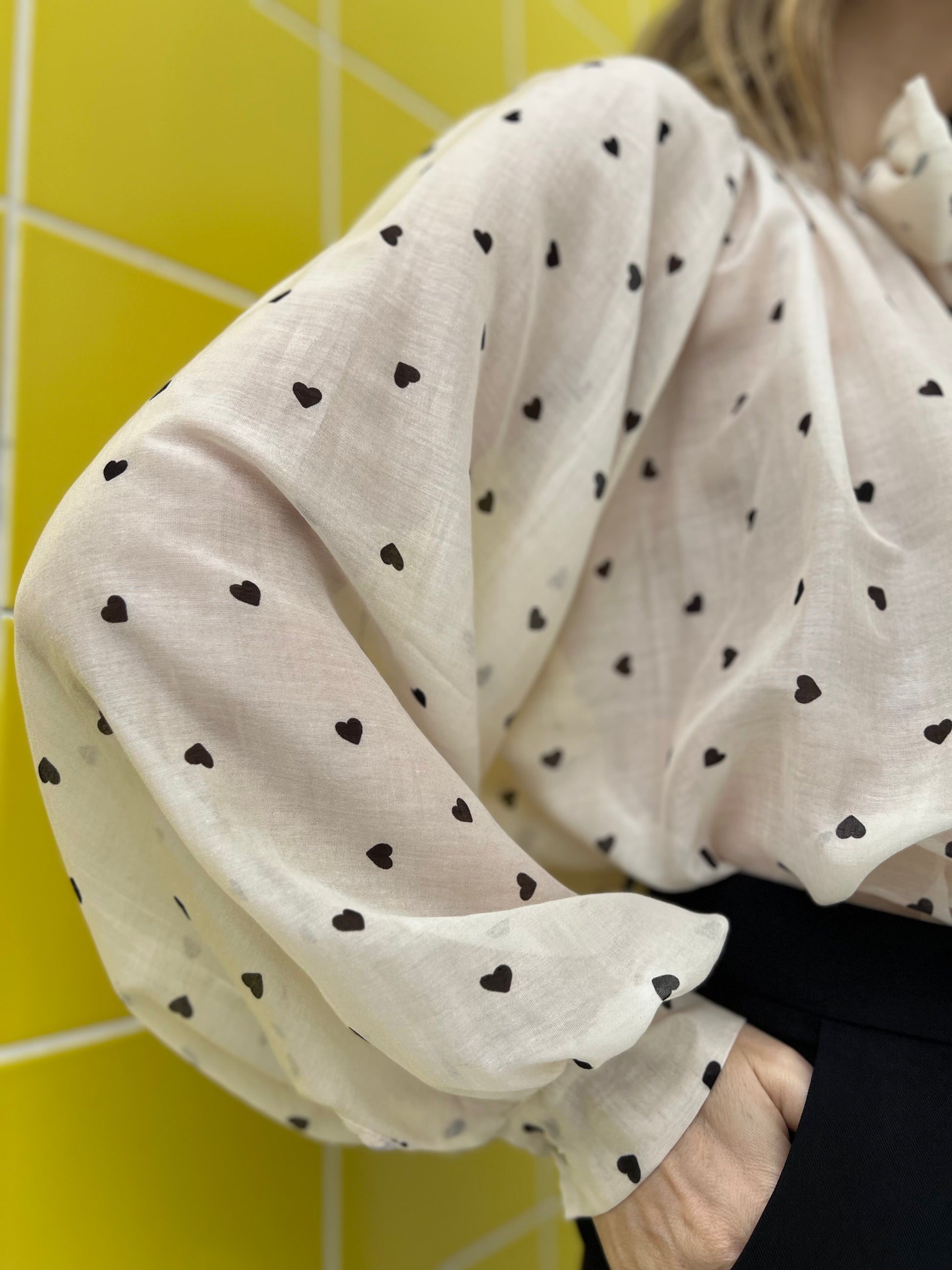 blusa haisyn