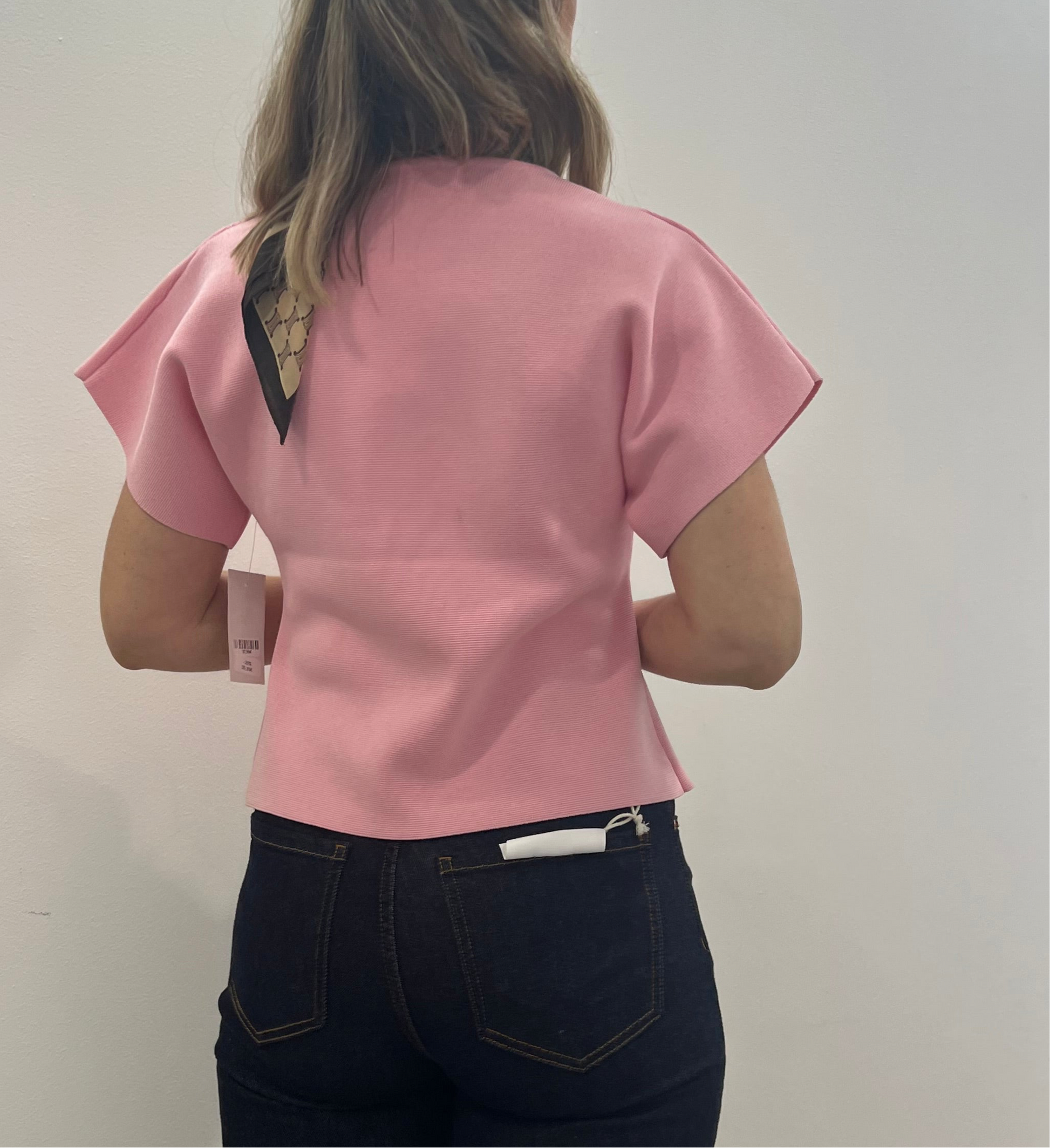 blusa erbaa