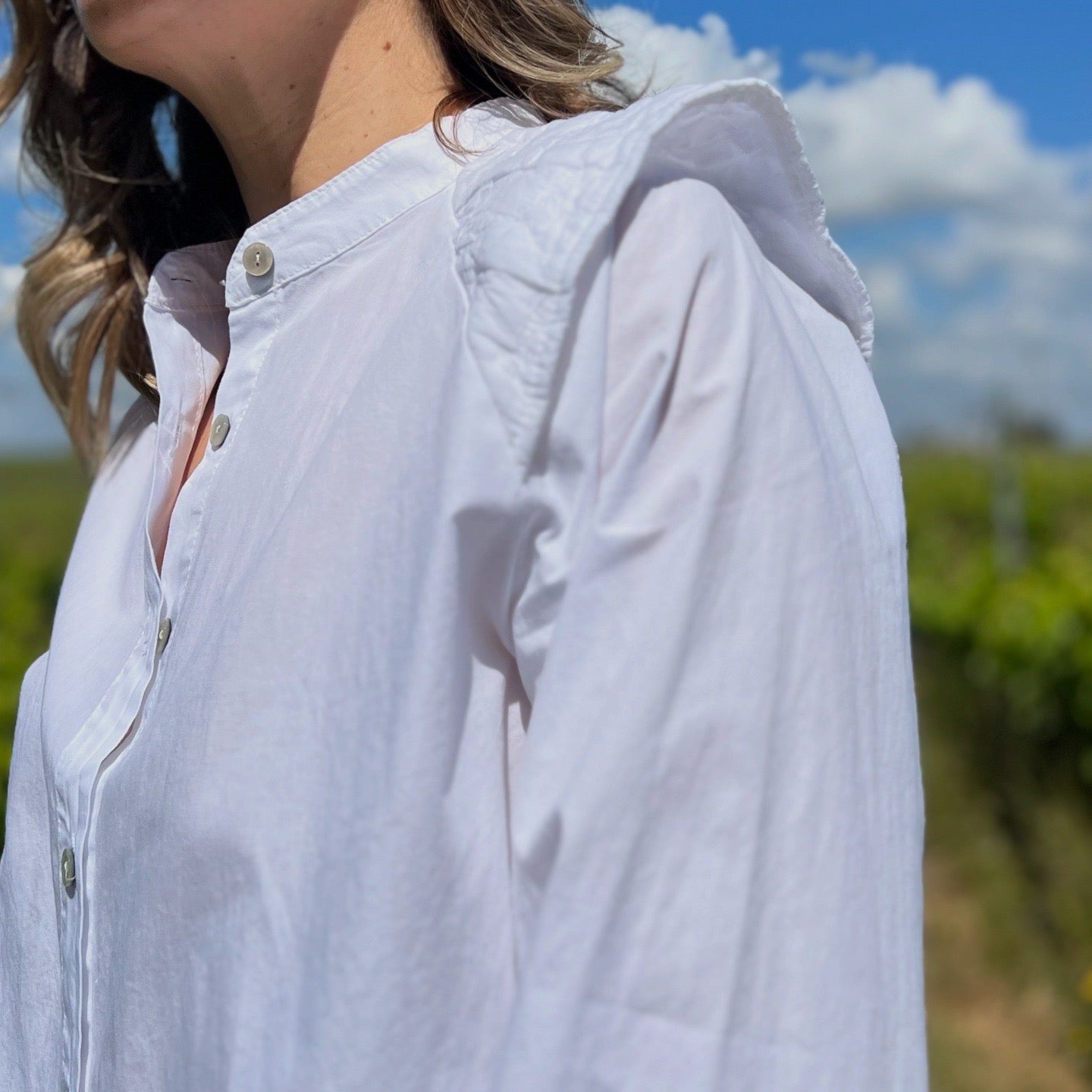 camisa pierre